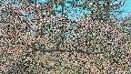 area3-20250412110123.jpg