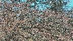area3-20250412120121.jpg