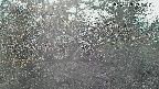 area3-20250412152120.jpg