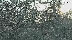 area3-20250412171121.jpg