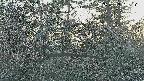 area3-20250412174119.jpg