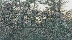 area3-20250412175121.jpg