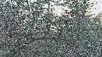 area3-20250412181121.jpg