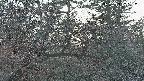 area3-20250412182120.jpg