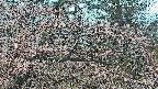 area3-20250414052120.jpg