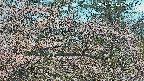 area3-20250414063120.jpg