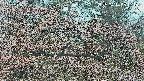 area3-20250414081120.jpg