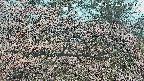 area3-20250414112120.jpg