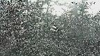 area3-20250414164120.jpg