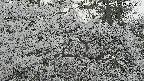 area3-20250419153511.jpg