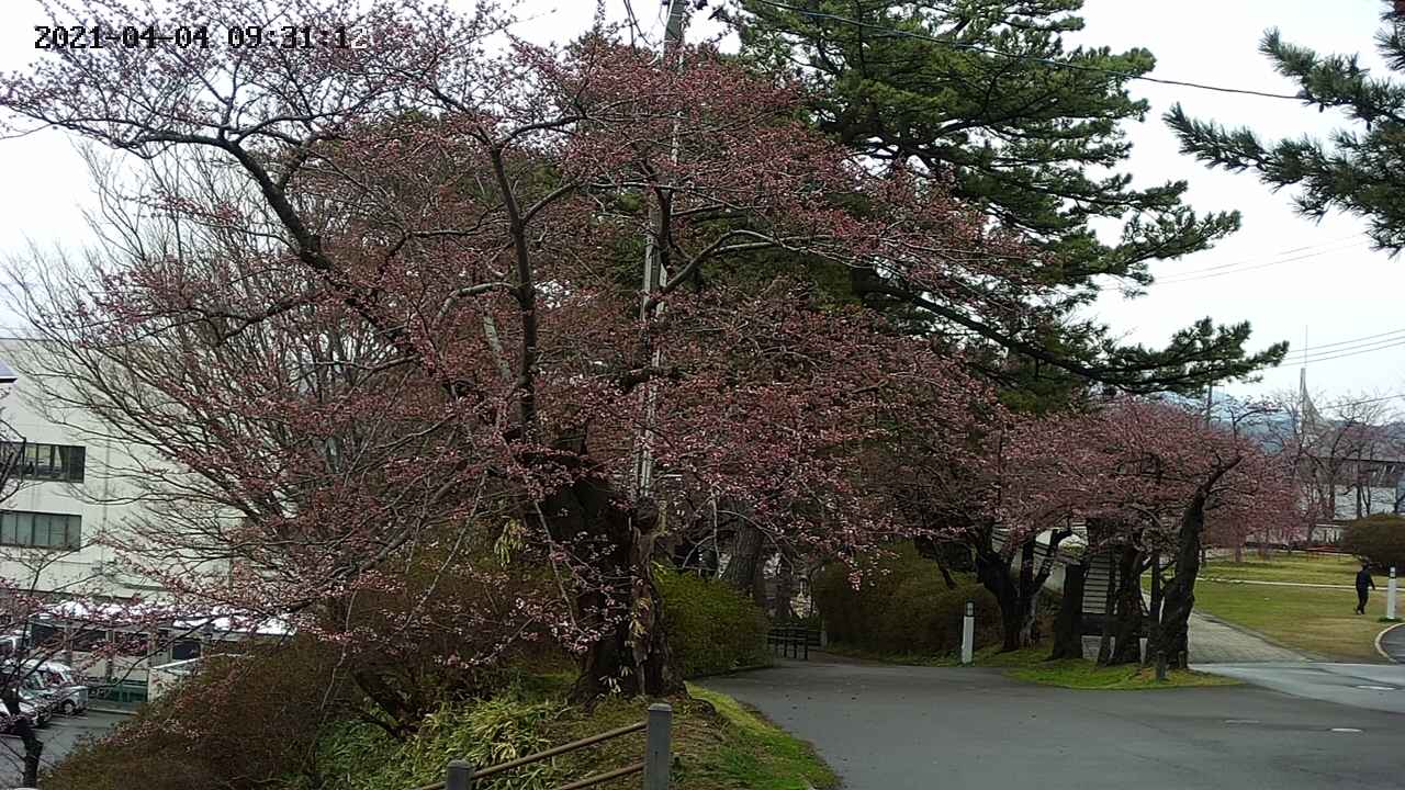 area1-20210404093113.jpg