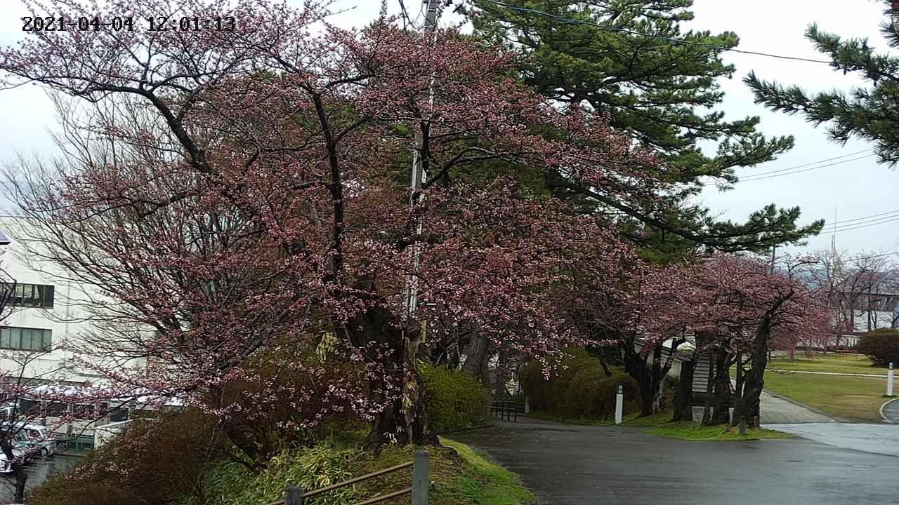 area1-20210404120114.jpg