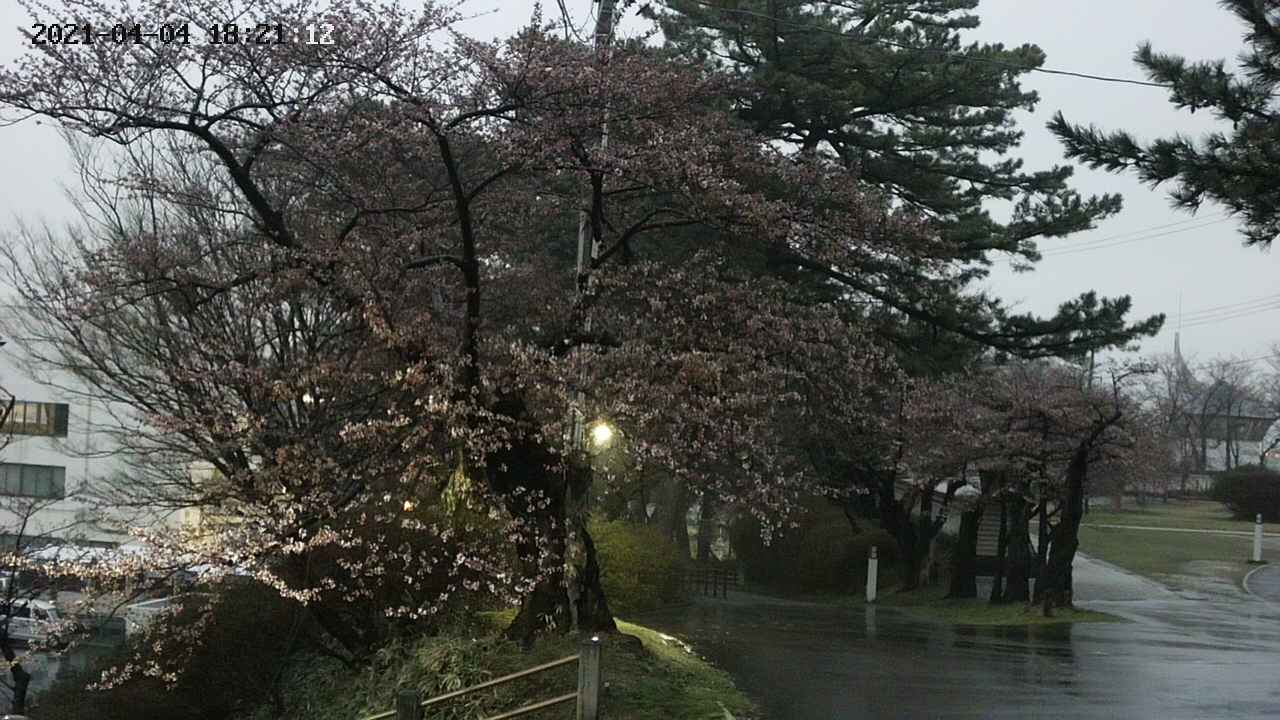 area1-20210404182112.jpg