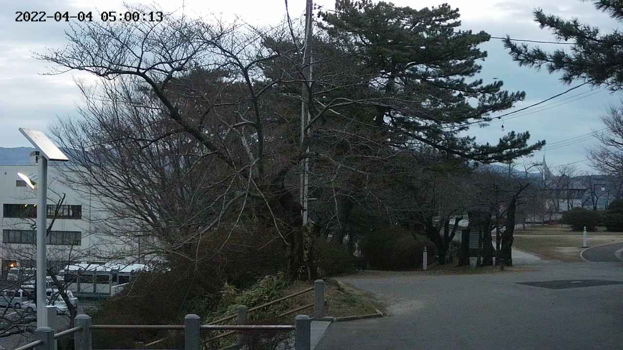 area1-20220404050013.jpg