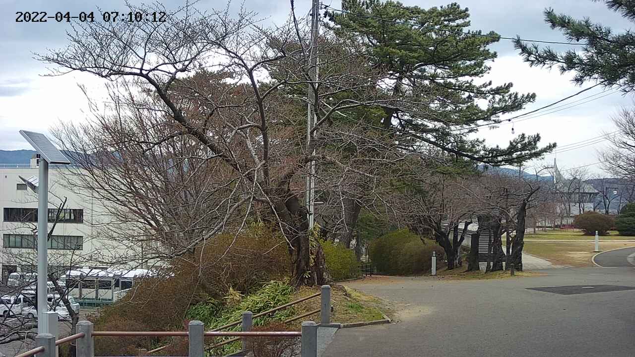 area1-20220404071013.jpg