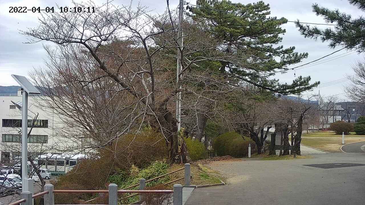 area1-20220404101013.jpg