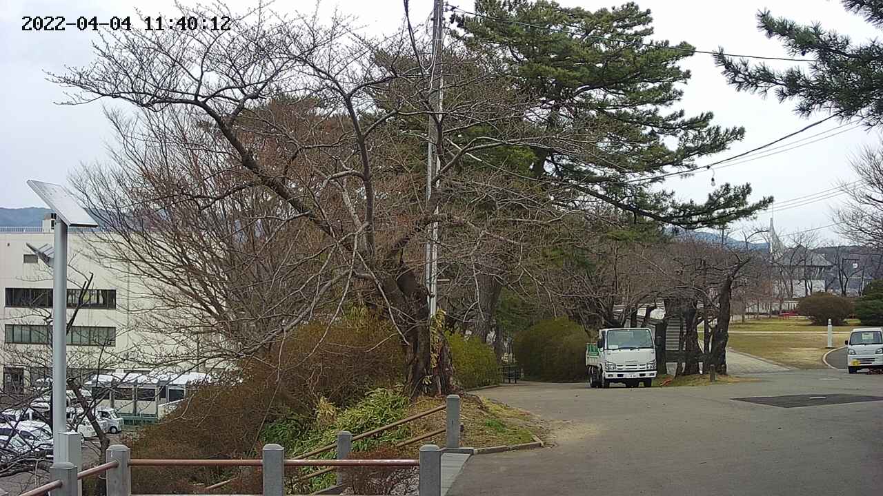 area1-20220404114014.jpg