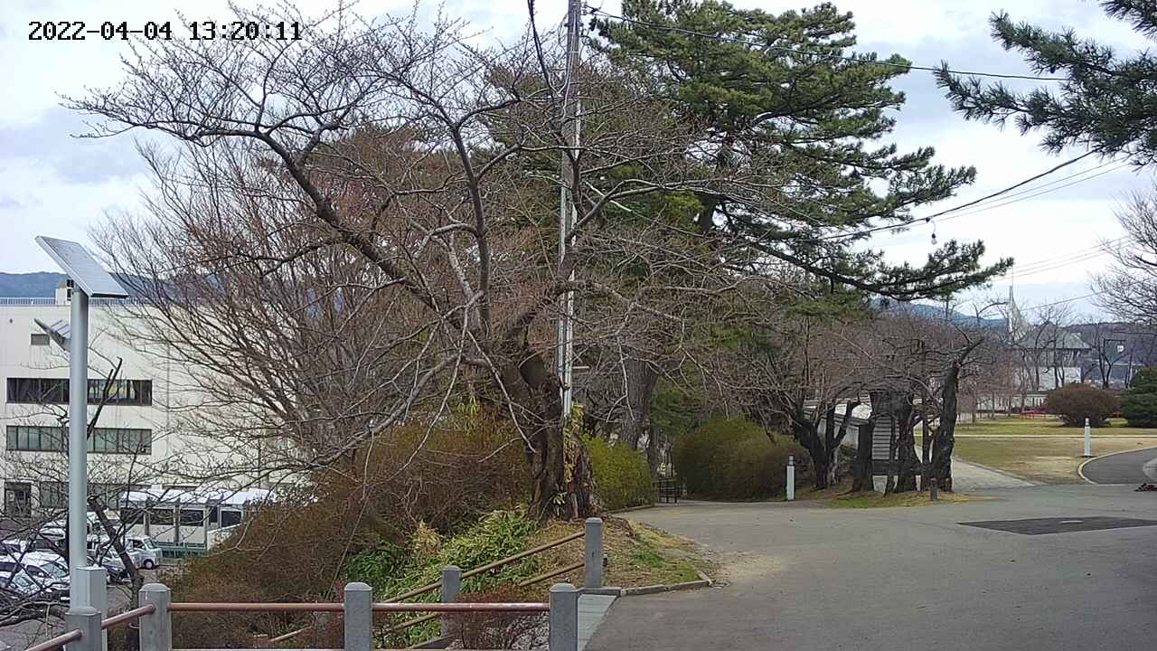 area1-20220404132013.jpg