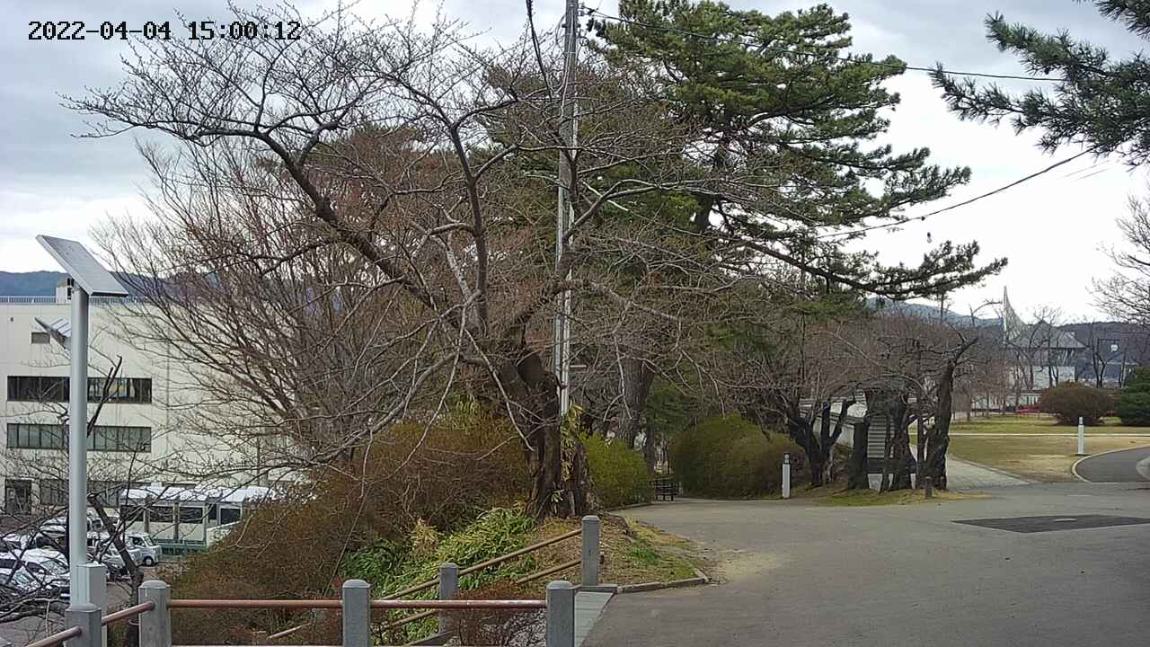 area1-20220404150013.jpg