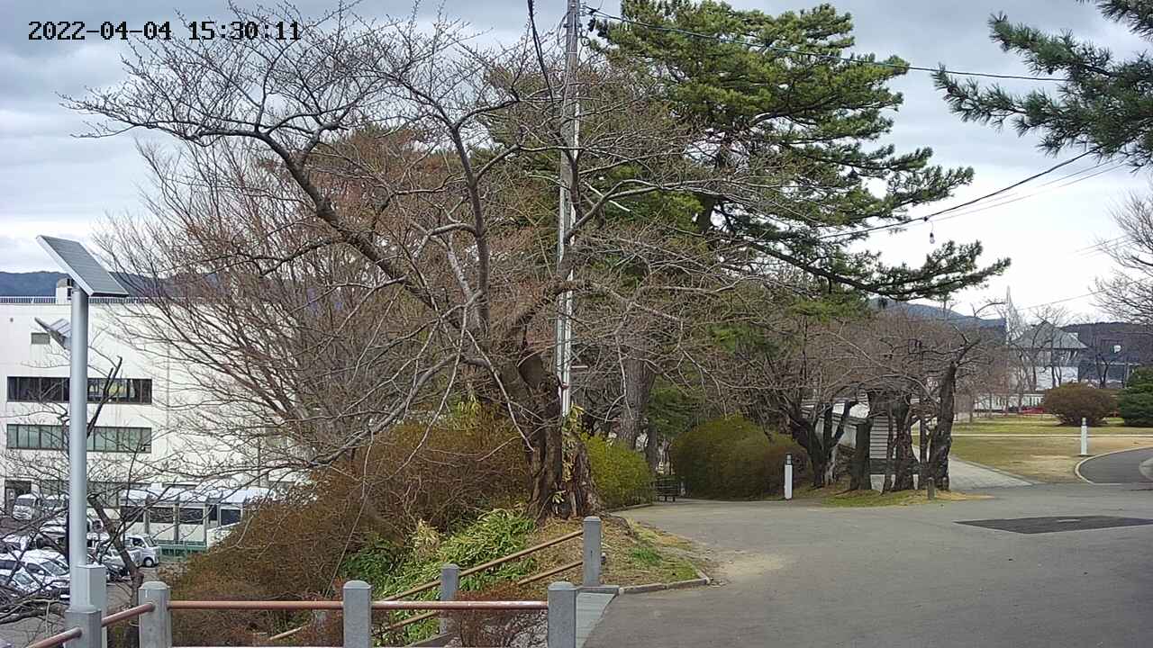 area1-20220404153012.jpg