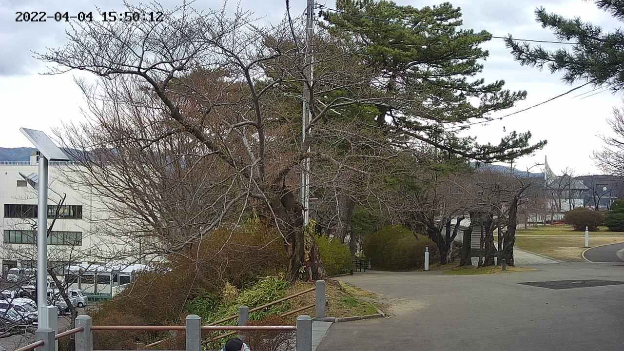 area1-20220404155013.jpg