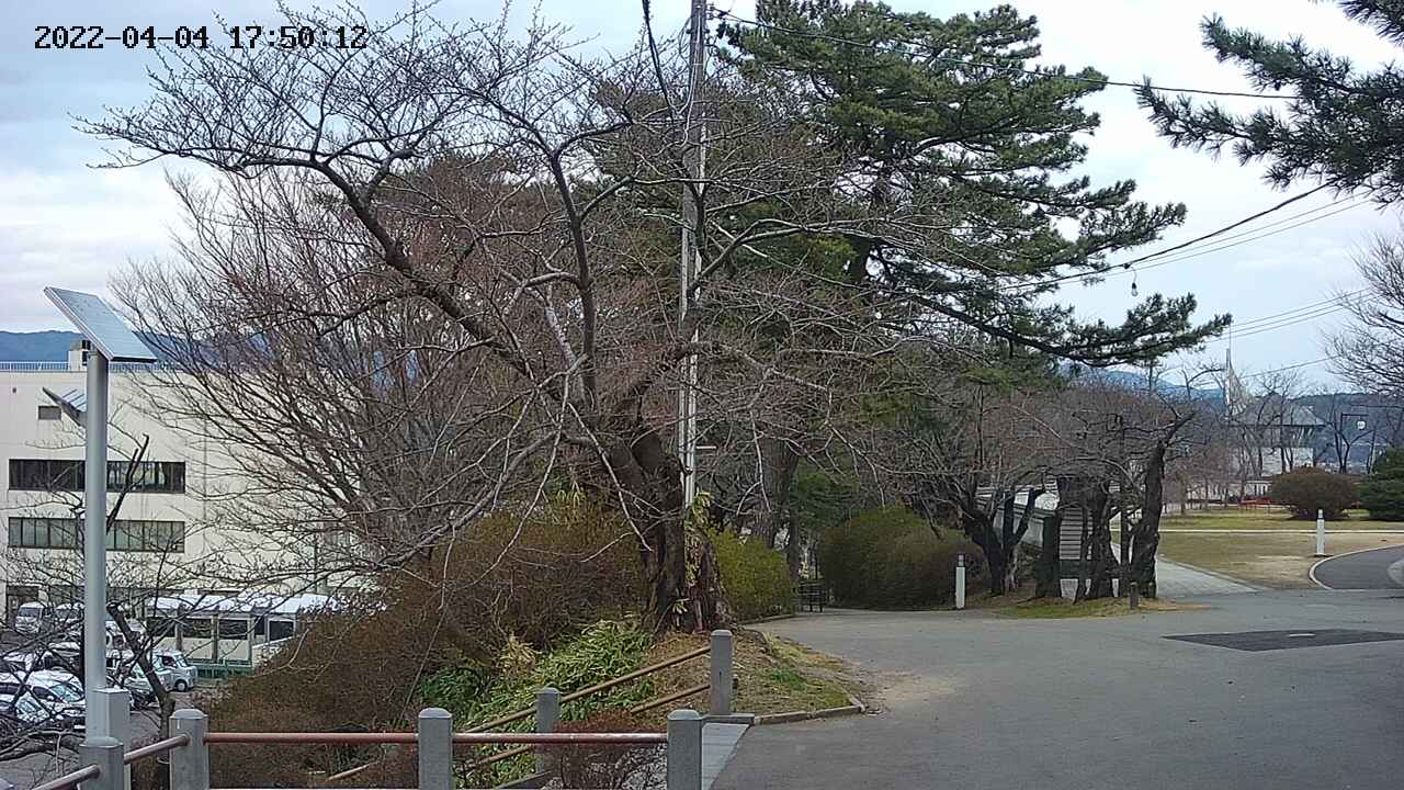 area1-20220404175013.jpg