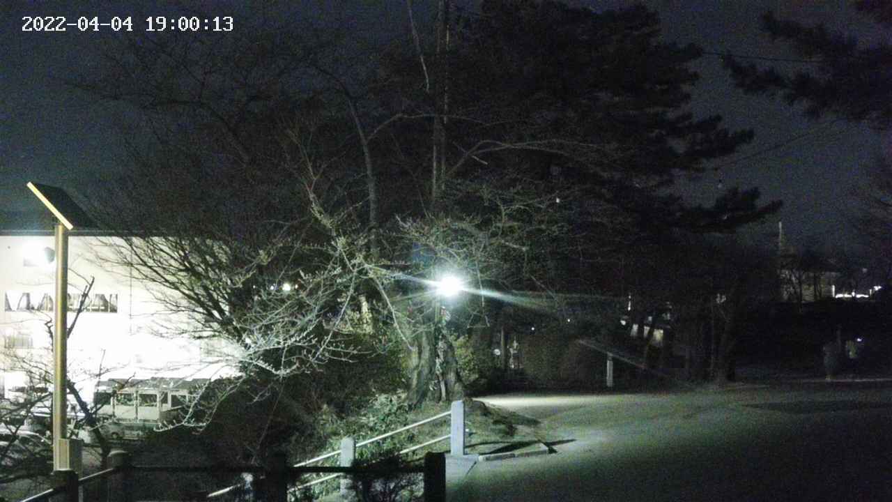 area1-20220404190014.jpg