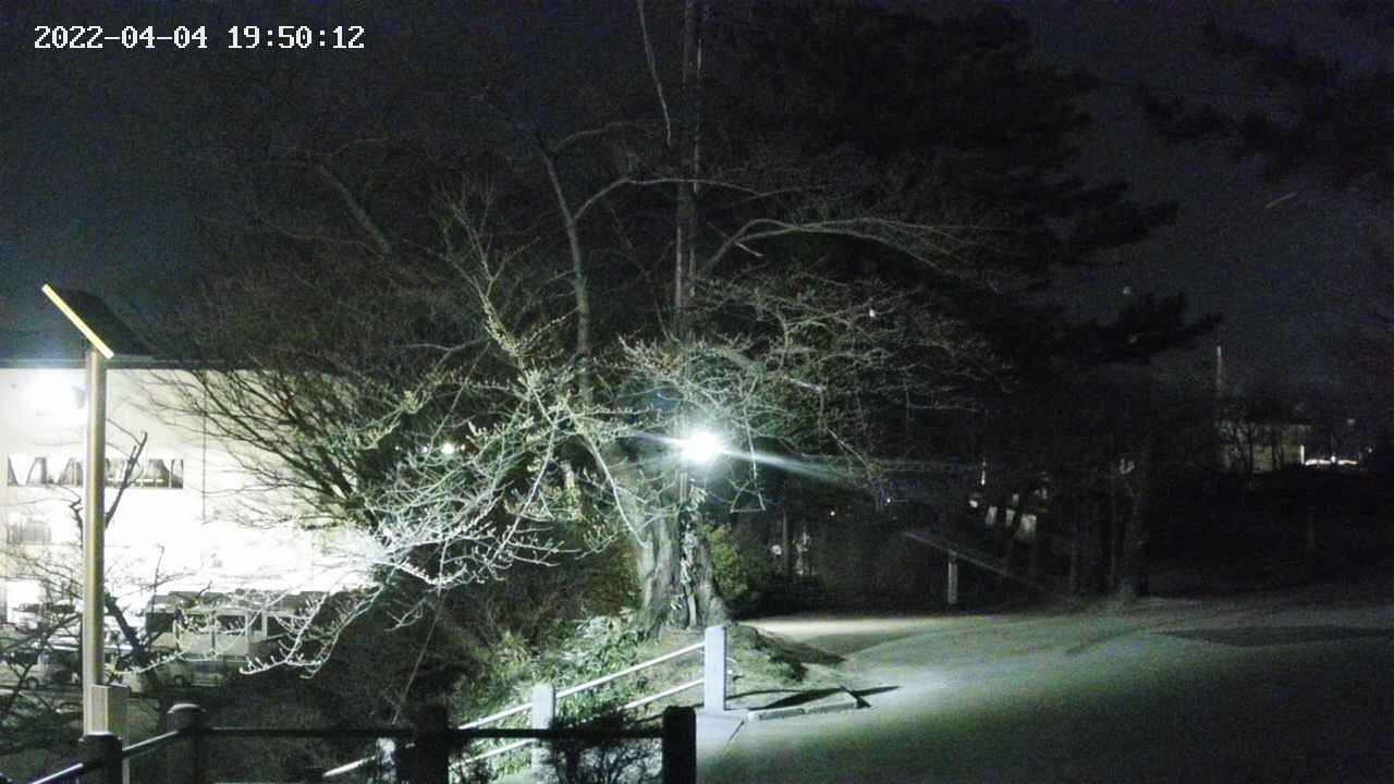 area1-20220404195013.jpg