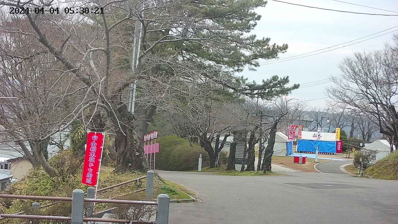 area1-20240404053021.jpg