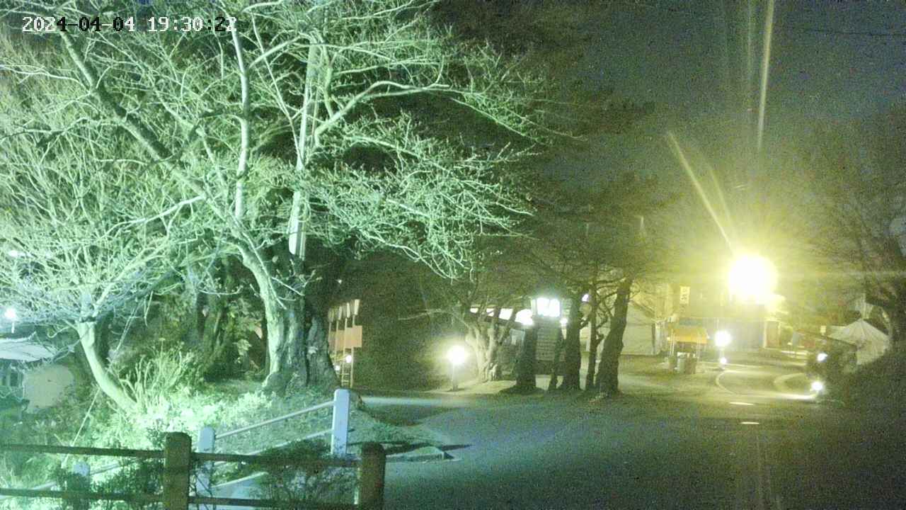 area1-20240404193022.jpg