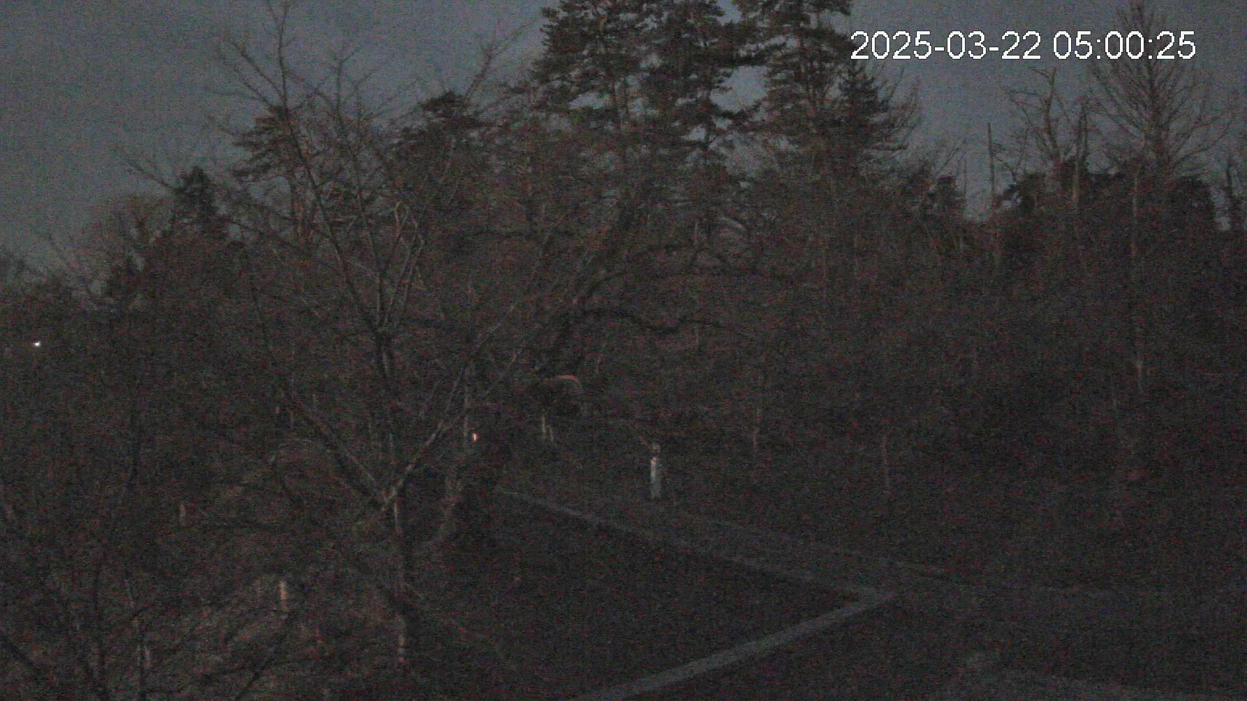 area1-20250322050026.jpg