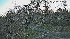 area1-20250323172026.jpg