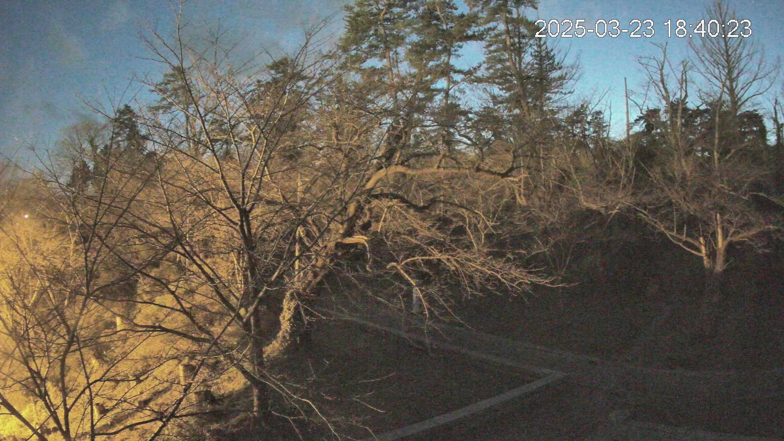 area1-20250323184025.jpg