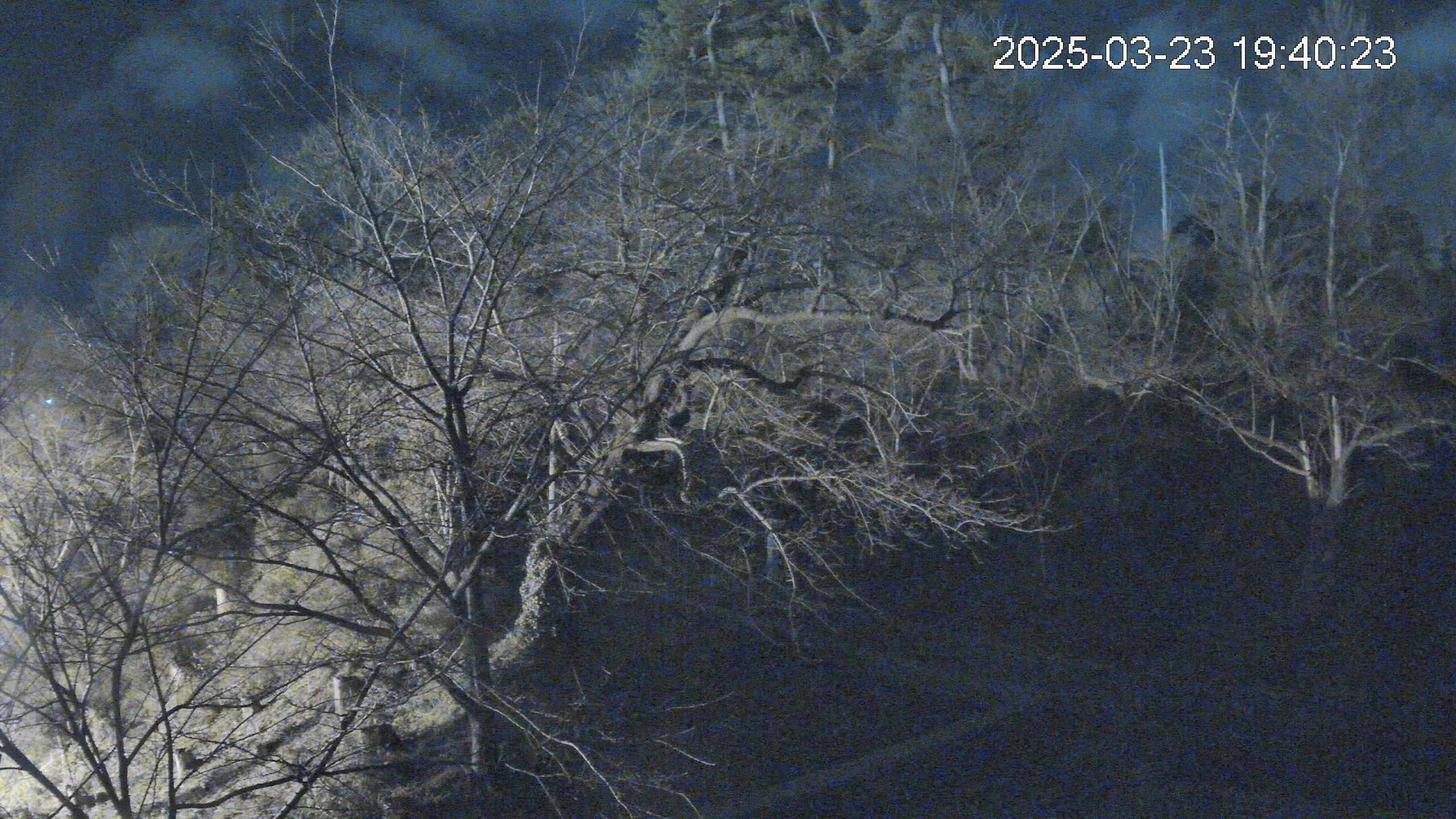area1-20250323194025.jpg