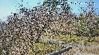 area1-20250324101026.jpg