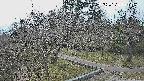 area1-20250324141026.jpg