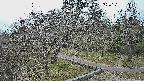 area1-20250324142027.jpg