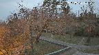 area1-20250324182024.jpg