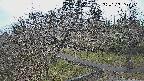 area1-20250325060025.jpg