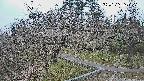 area1-20250326063029.jpg