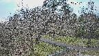 area1-20250327142027.jpg