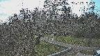 area1-20250329154028.jpg