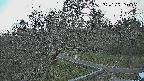 area1-20250329160027.jpg