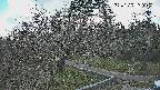 area1-20250329162025.jpg