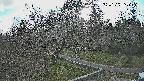 area1-20250329163028.jpg