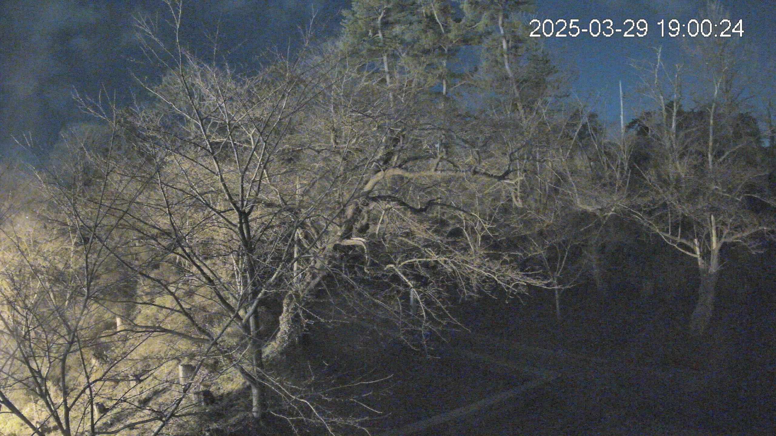 area1-20250329190110.jpg