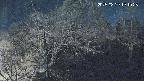 area1-20250329191113.jpg