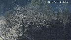 area1-20250329194112.jpg