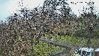 area1-20250330103159.jpg