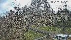 area1-20250330120147.jpg